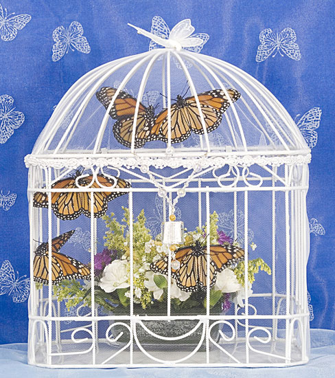 Butterfly Cottage from FlutterbyGardens.com